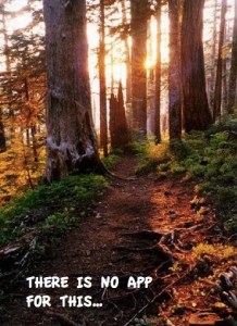 there-is-no-app-for-this-nature-quote