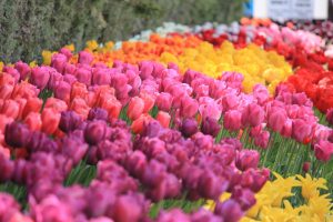 532740_10150932713366007_1354189198_n