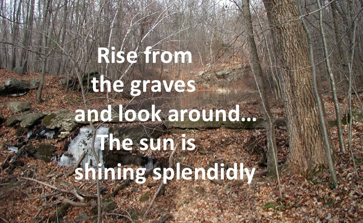 The Land Of The Dead