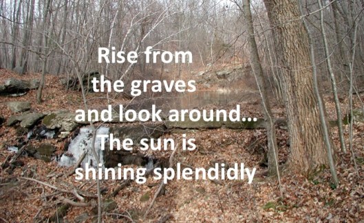 The Land Of The Dead