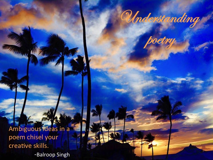 Understanding Poetry
