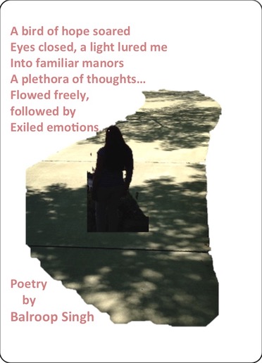 Excerpt from the book