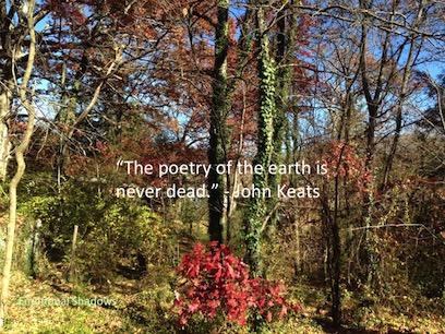 Poetry of earth