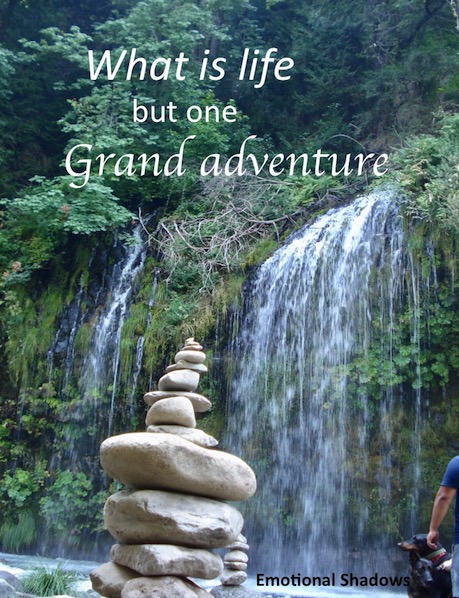 Life is an adventure