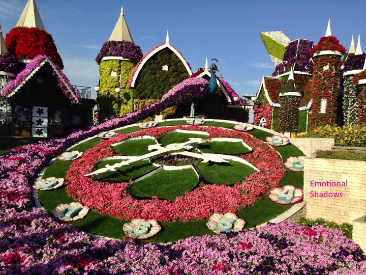 Miracle Garden