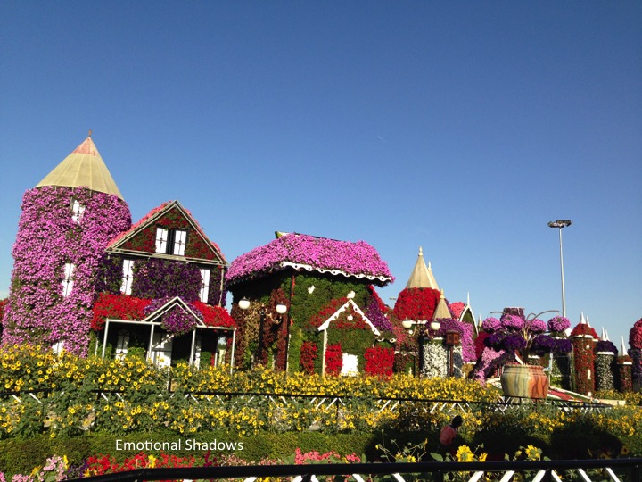 Miracle Garden