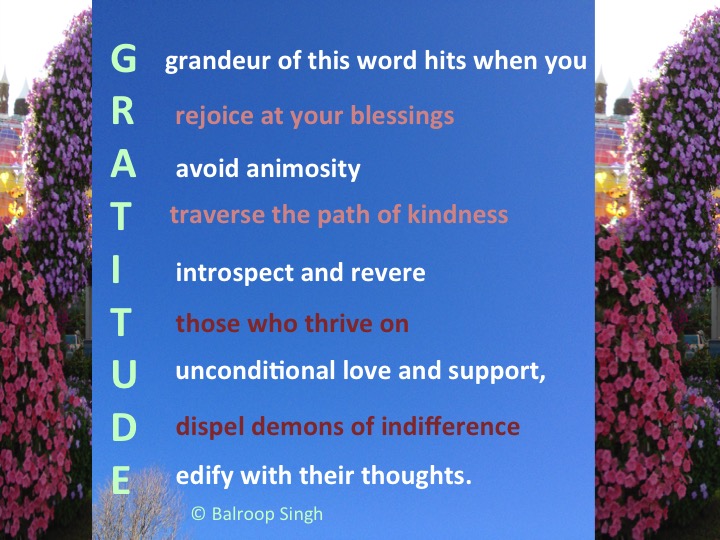 Gratitude