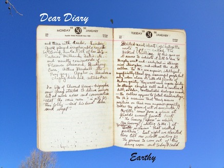 A page from a Diary