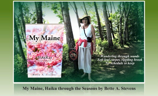 my-maine-wandering-through-woods-2-coming-soon 2