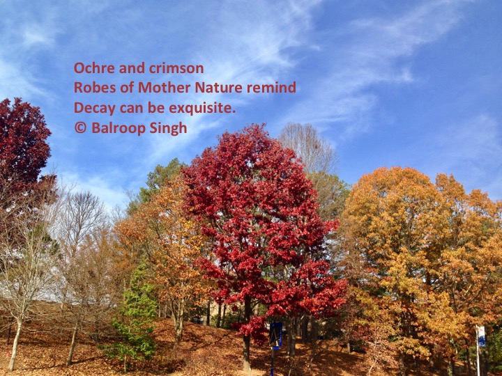 Fall haiku