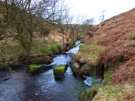 lincoln-bakewell-gt-hucklow-017